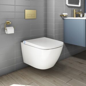 Wall-Mounted Toilet